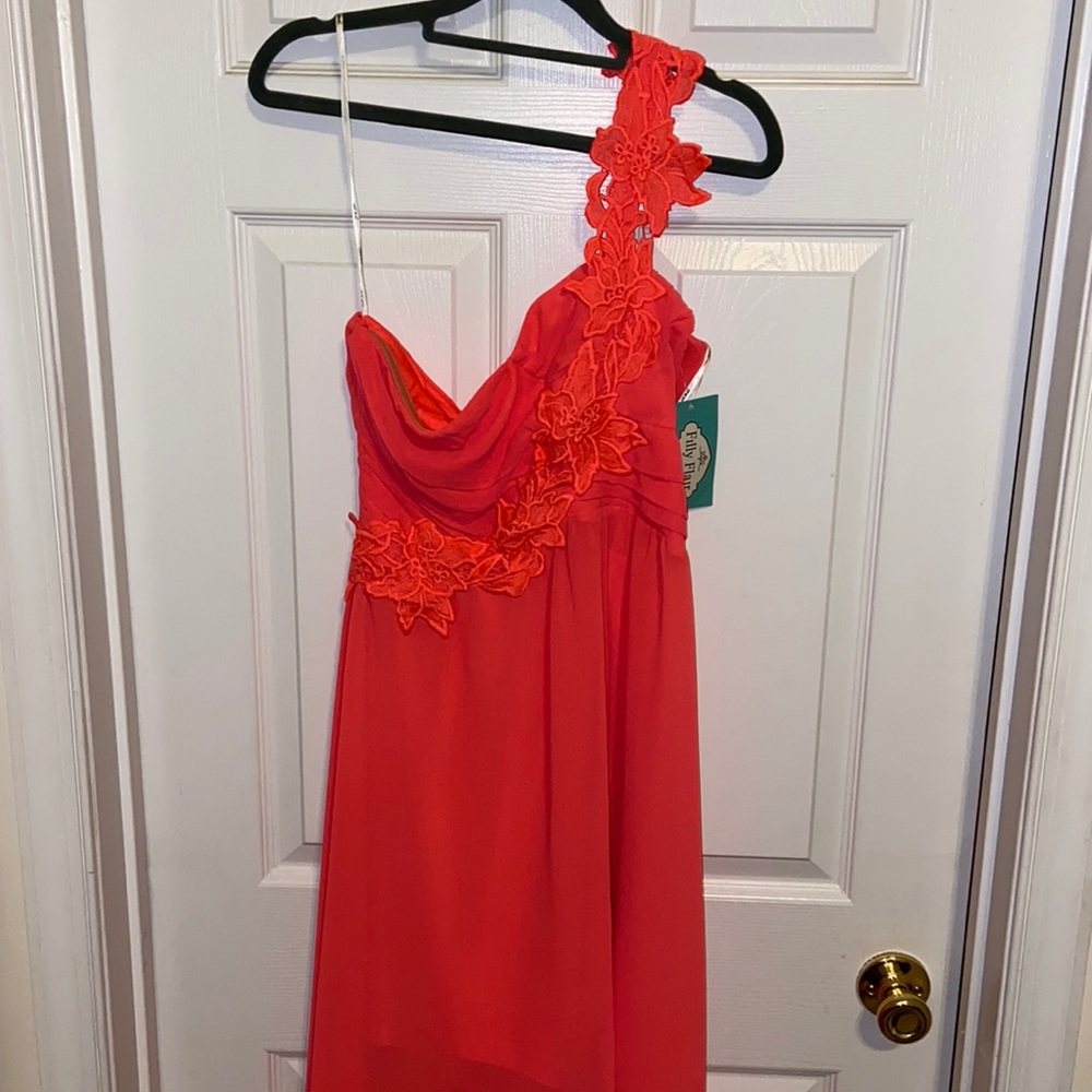 Filly Flair dress